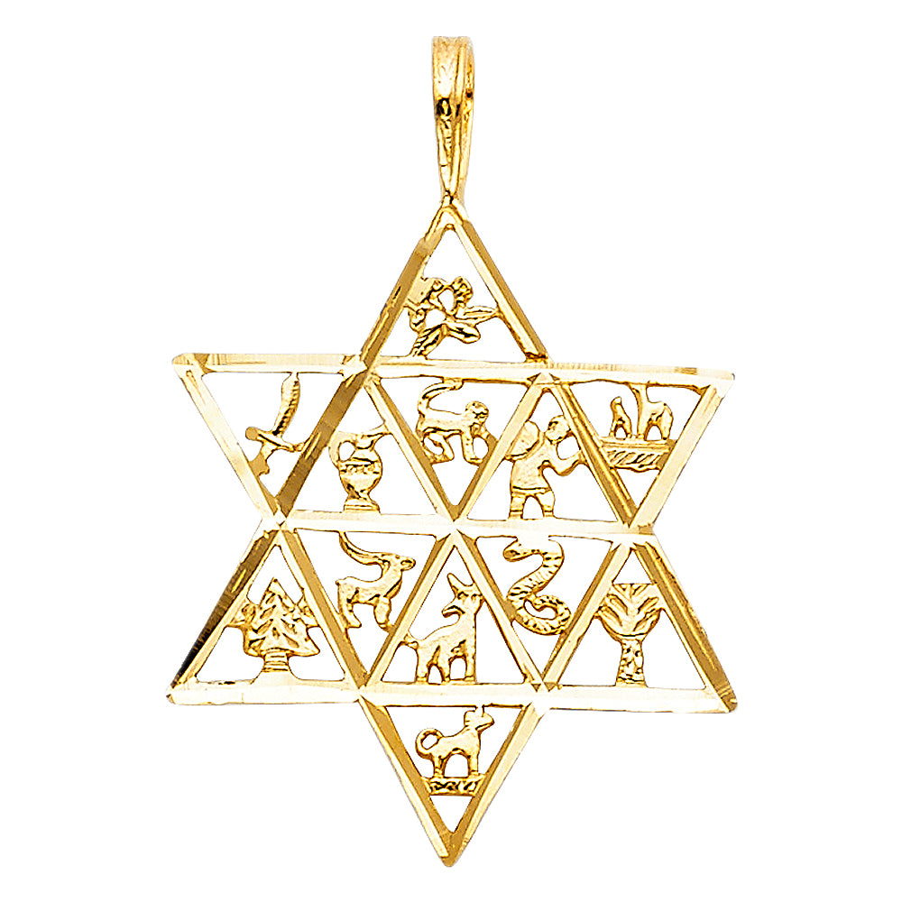 14k Yellow Gold Story of Life Jewish Star of David w/ Animals Pendant Charm