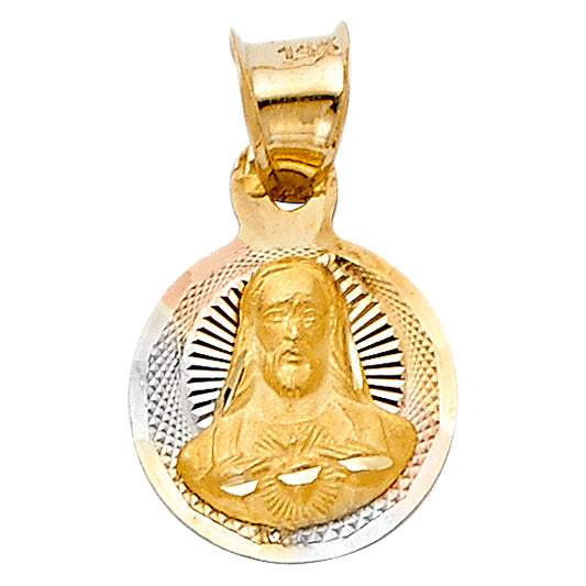 14k Tri-Color Gold Holy Christ Our Savior Heart of Jesus Medal Pendant Charm
