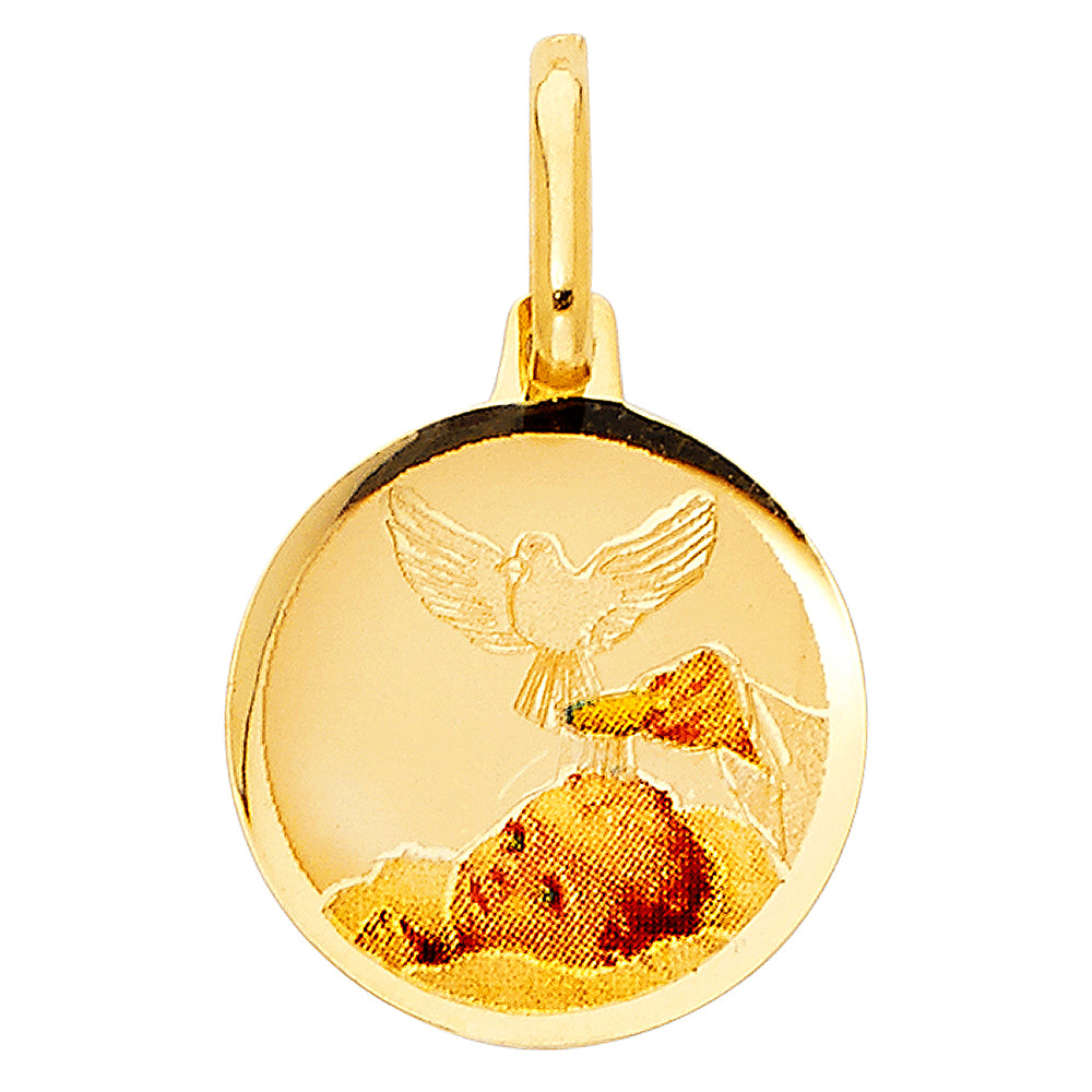14k Tri-Color Gold Holy Baptism Medallion Pendant Jesus Catholic Polished Charm