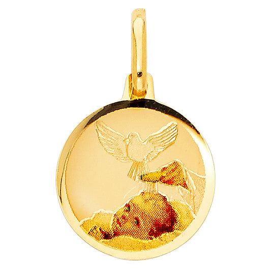 14k Tri-Color Gold Holy Baptism Medallion Pendant Jesus Catholic Polished Charm