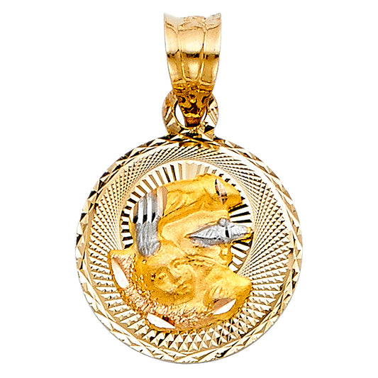 14k Tri-Color Gold Baptism Medallion Pendant Diamond-Cut Christian Faith Charm