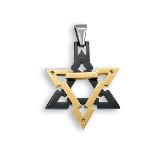 Two Tone Gold & Black Rhodium Plated Stainless Steel CZ Star of David Pendant