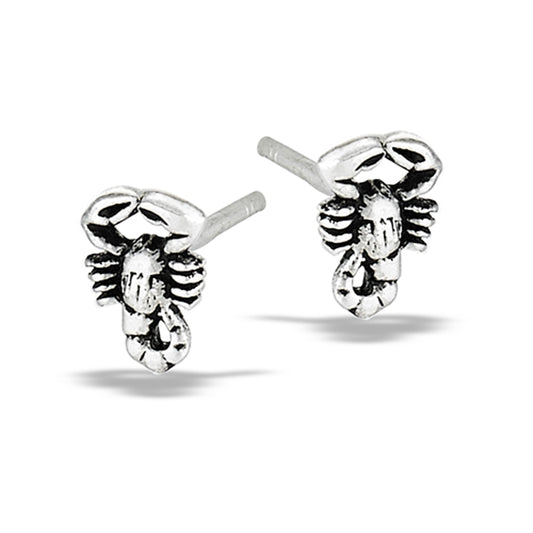 Sterling Silver Earrings