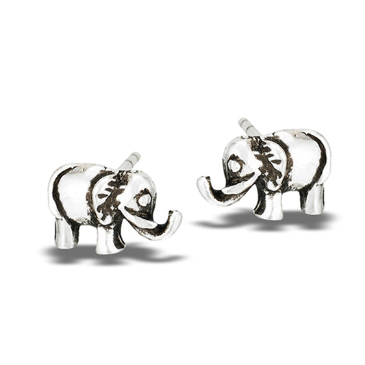 Sterling Silver Earrings
