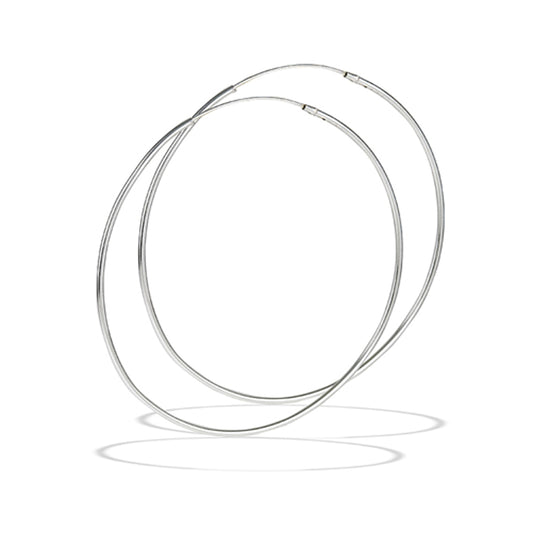 Sterling Silver Earrings